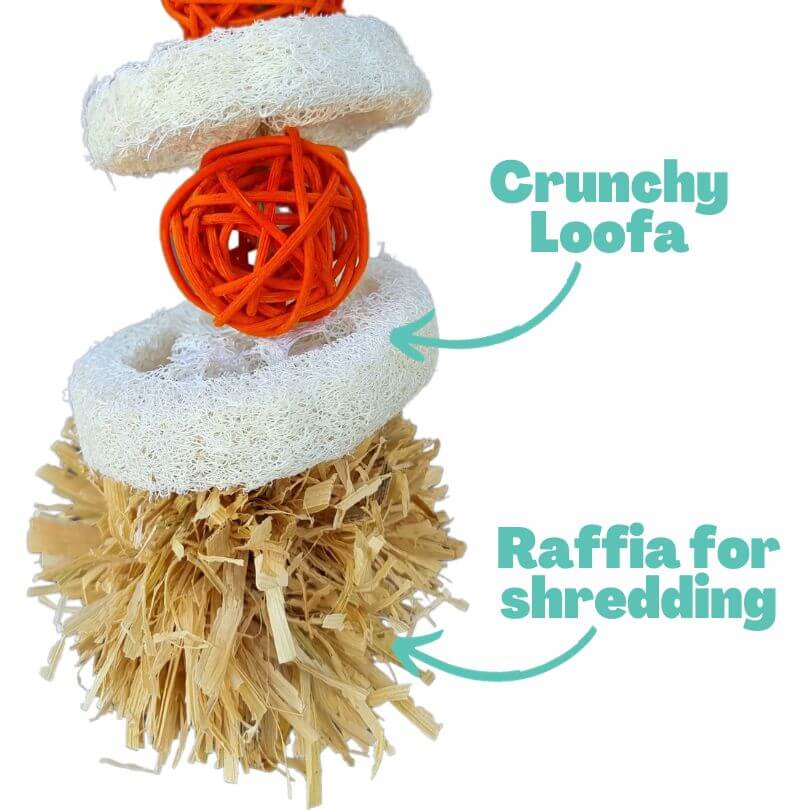 Pom Pom and Loofa Nibble