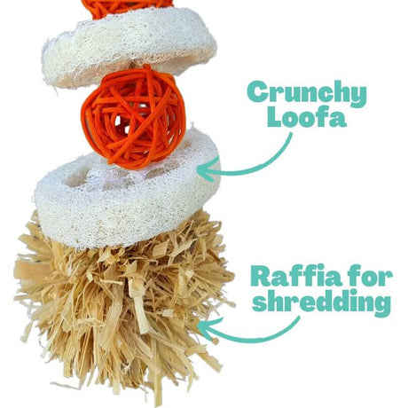 Pom Pom and Loofa Nibble