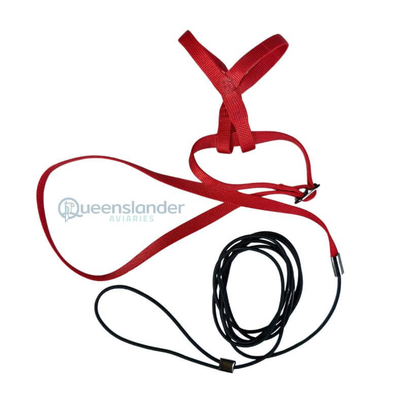 Prestige Bird Harness and Leash - Red