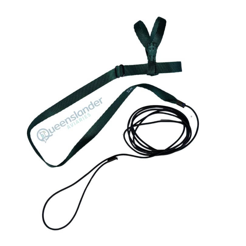 Prestige Bird Harness and Leash - Green