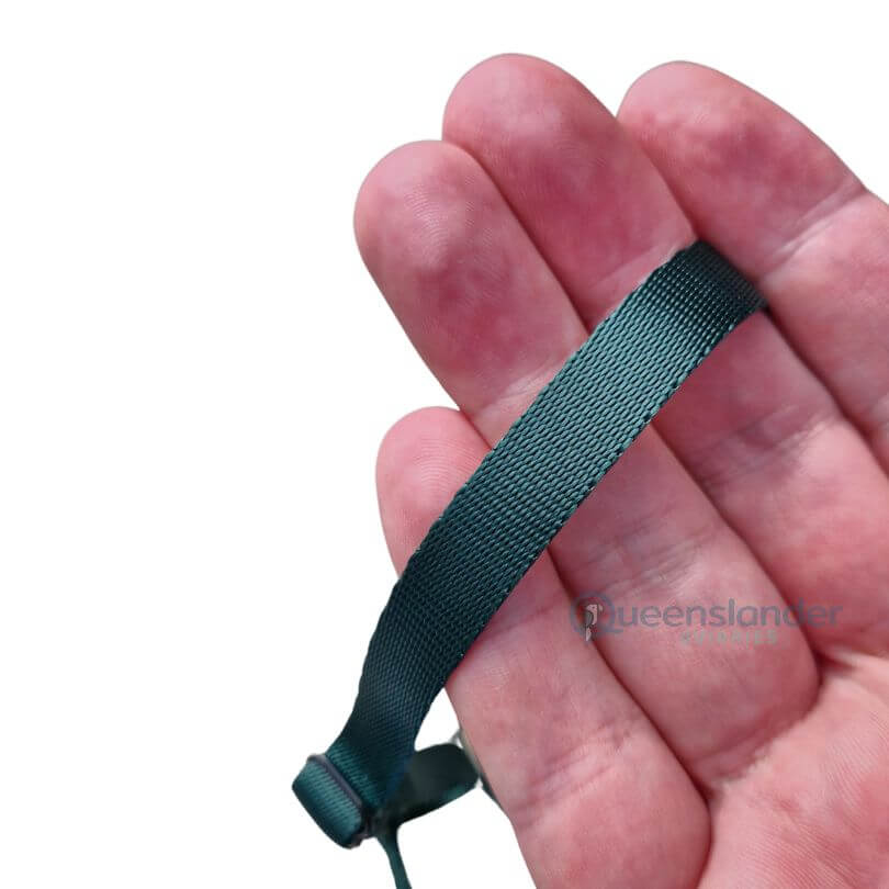 Prestige Bird Harness and Leash - Green