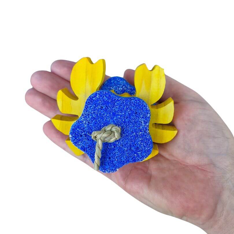 Pumice Crab Foot Toy