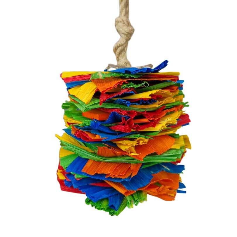 Raffia Rainbow Riot