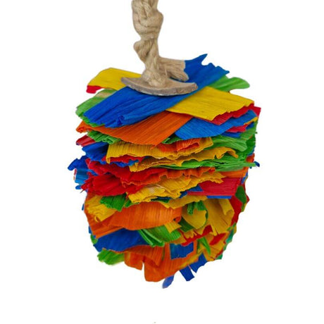 Raffia Rainbow Riot