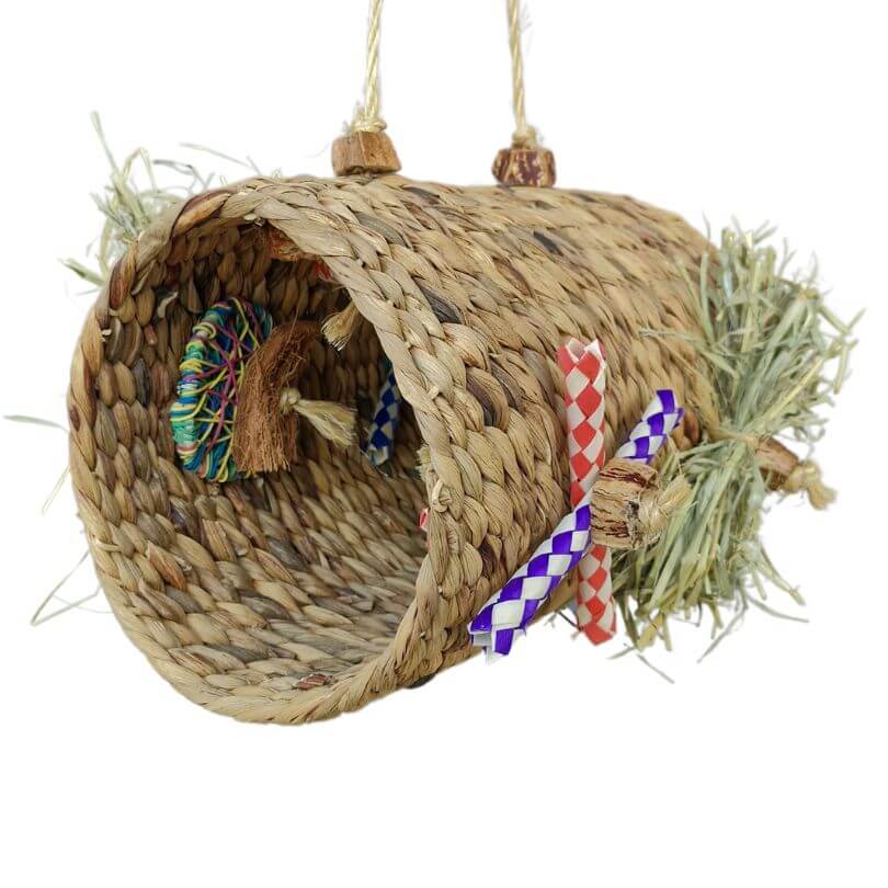 Raw for Birds Activity Tunnel