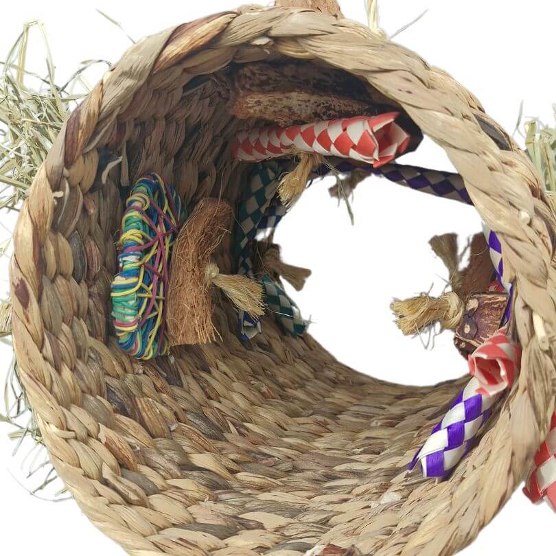 Raw for Birds Activity Tunnel