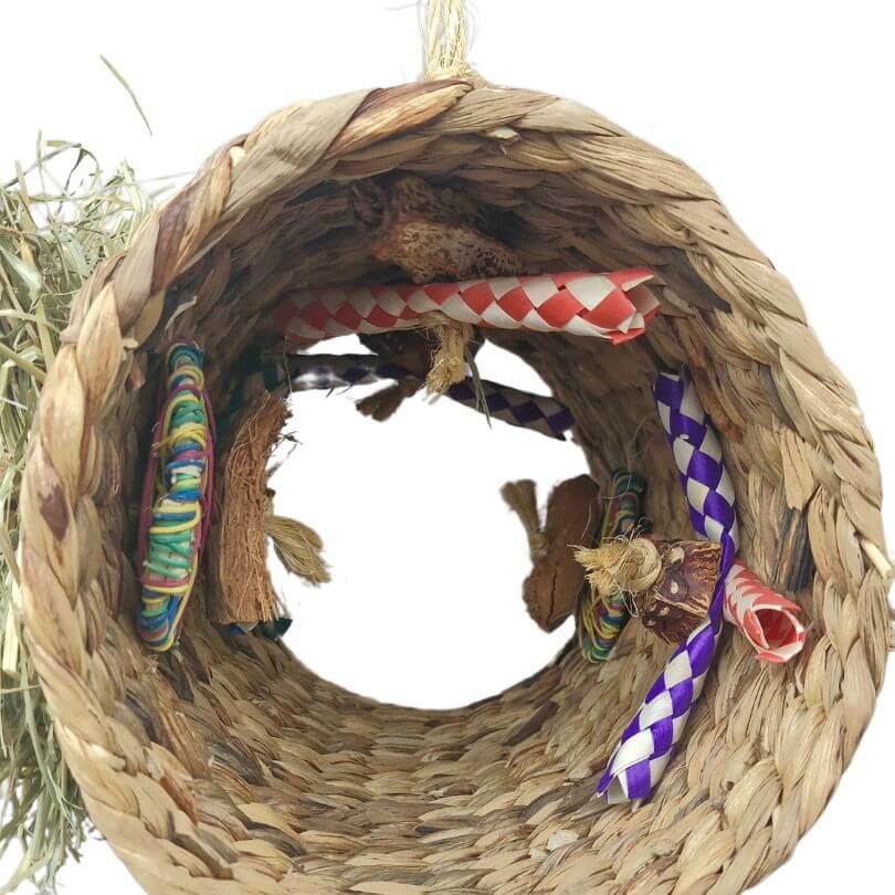 Raw for Birds Activity Tunnel