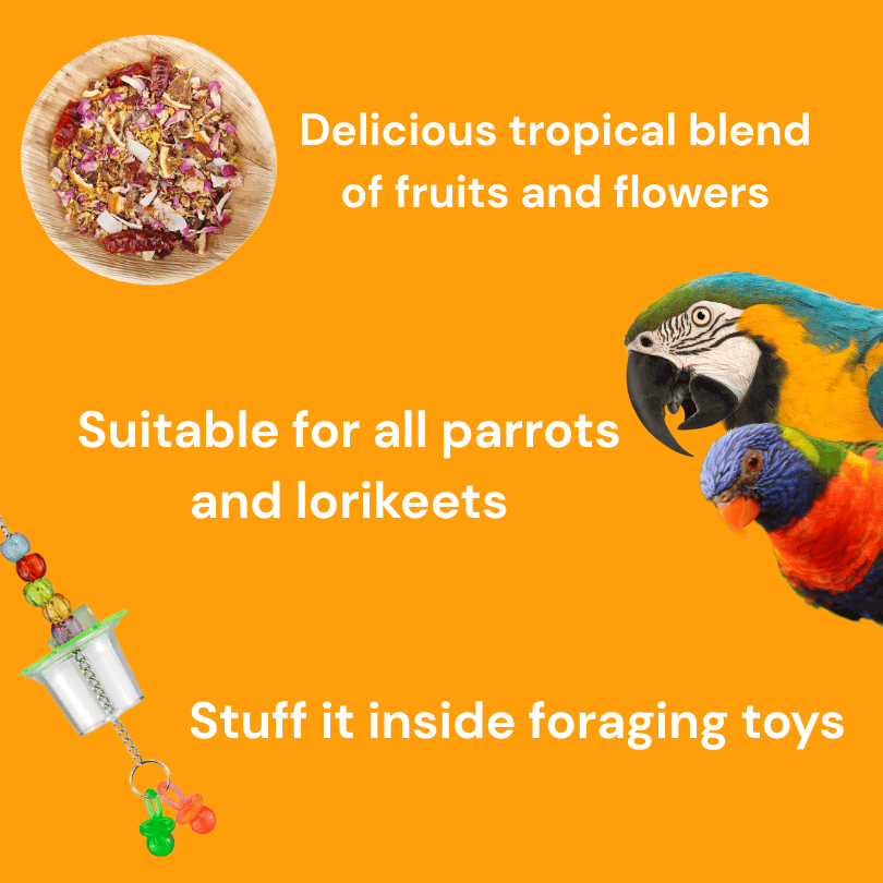 Raw for Birds Tropical Treat