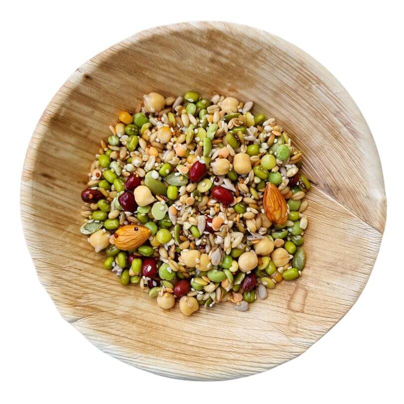 Raw for Birds Flock Soaking Blend