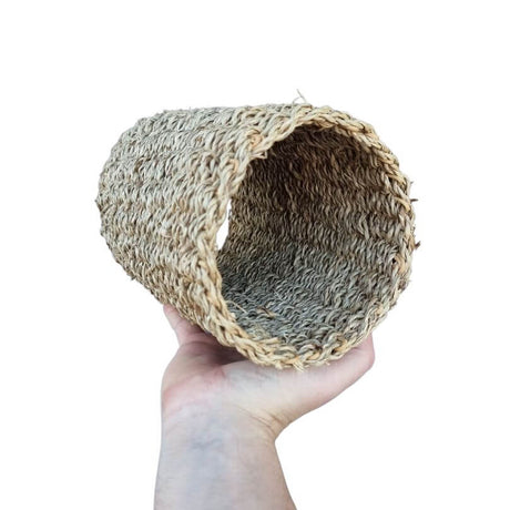 Seagrass Tunnel