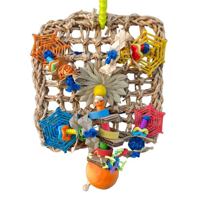 Seagrass Web Play Wall