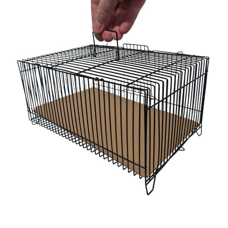 Small Rectangle Wire Carrier