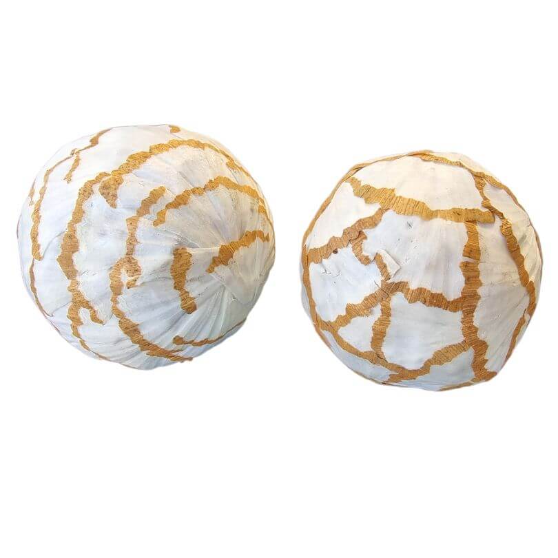 Sola Cabbage Balls