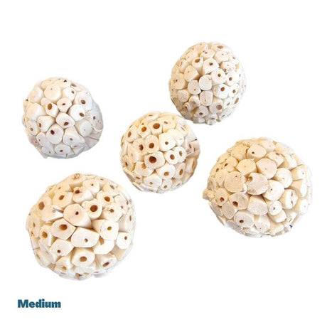 Sola Chew Balls