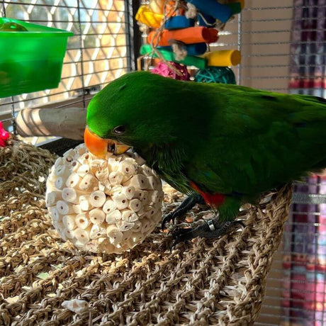 Sola Chew Balls