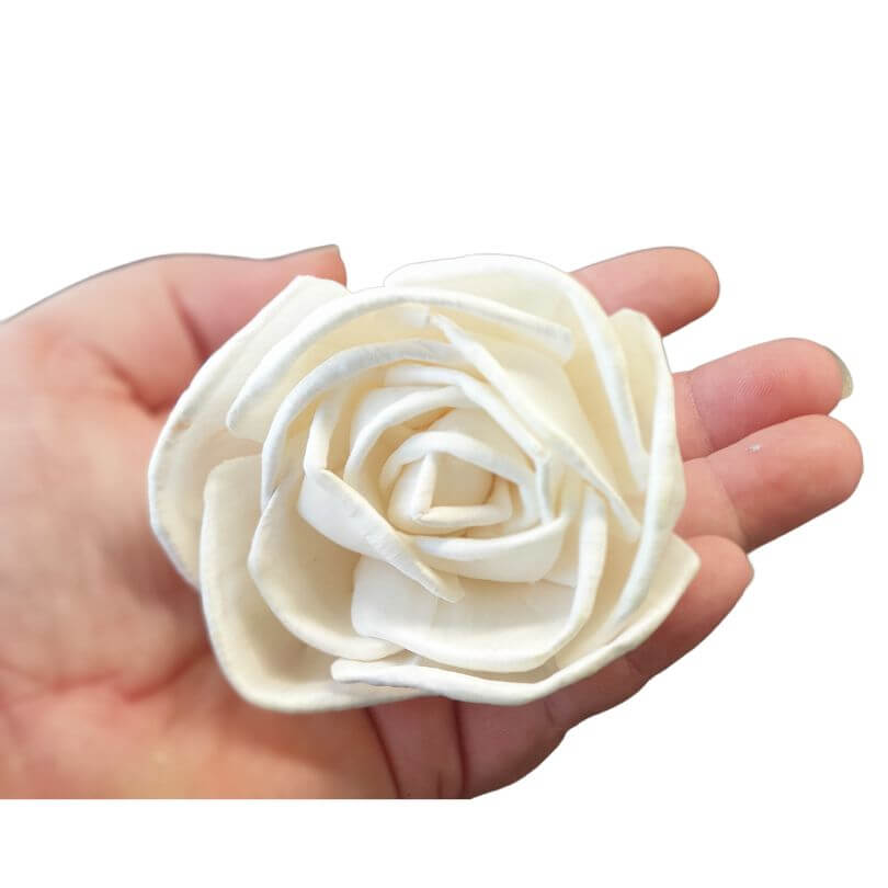 Sola Flowers 5pk