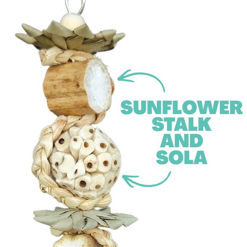 Sola Sunflower Kabob