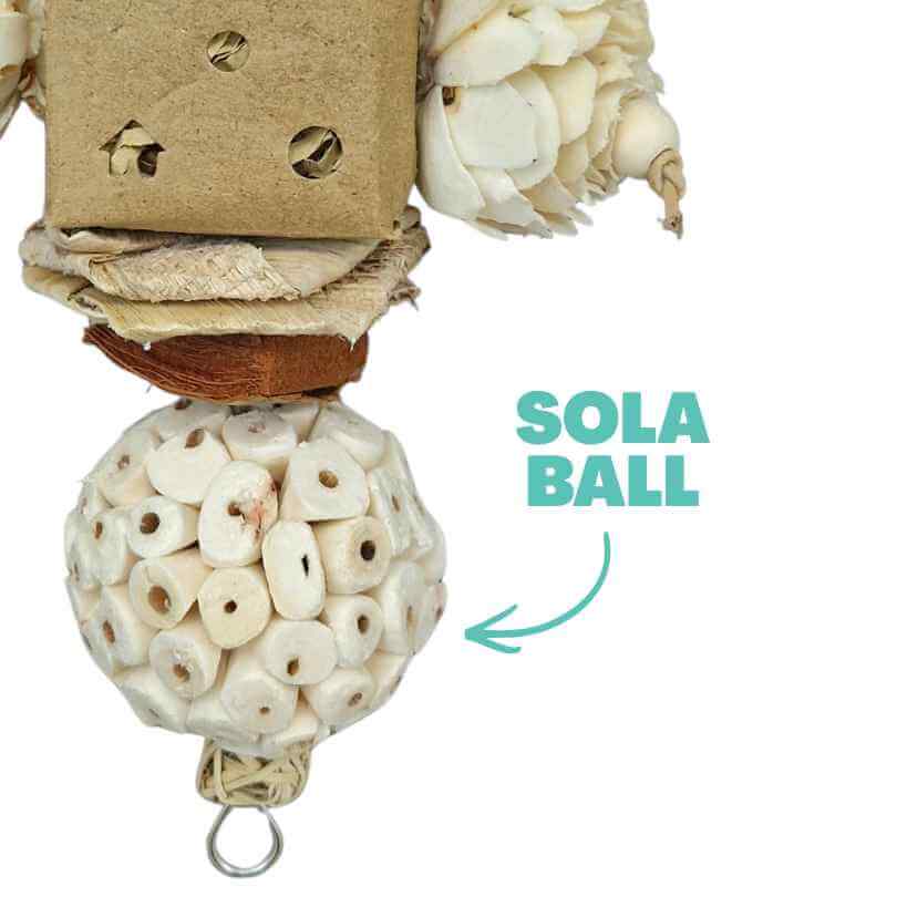 Sola Peck and Bloom Forager