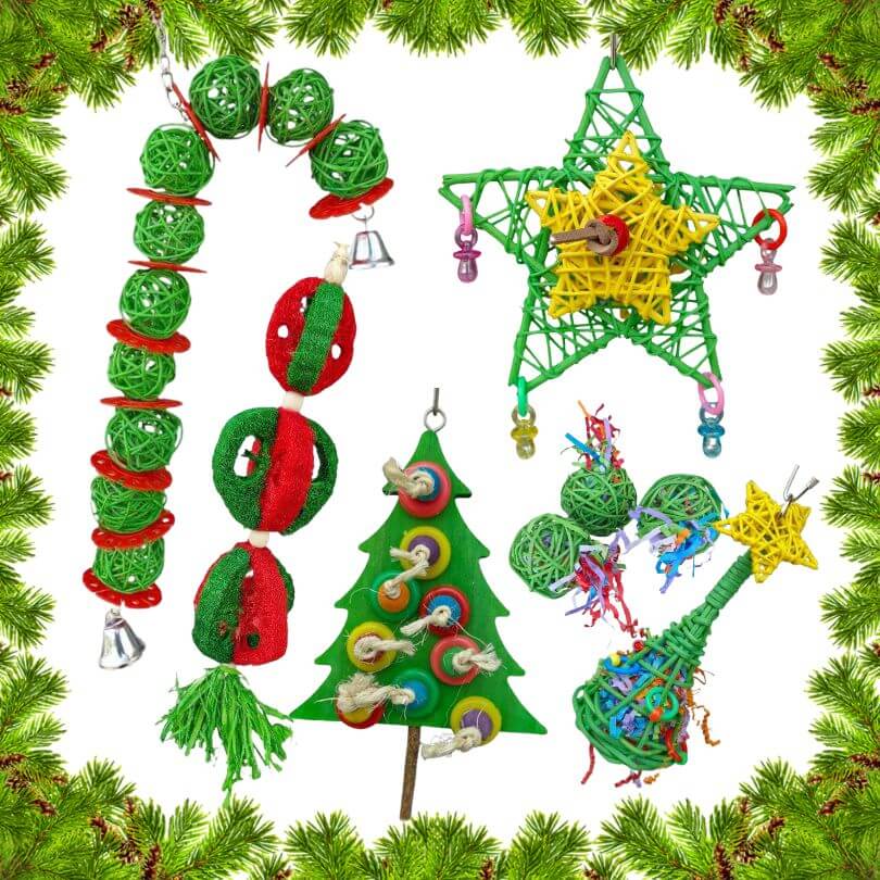 Spoilt Bird Christmas Bundle