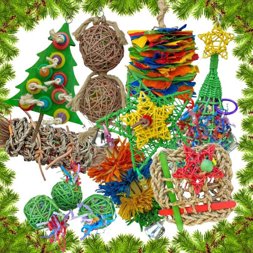 Spoilt Rotten Christmas Bundle