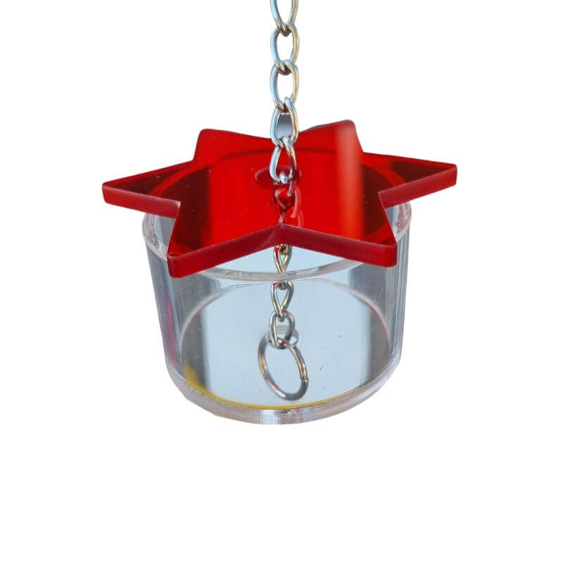 Star Foraging Cup