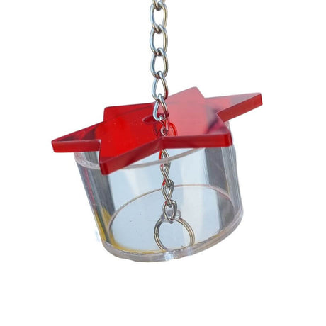 Star Foraging Cup