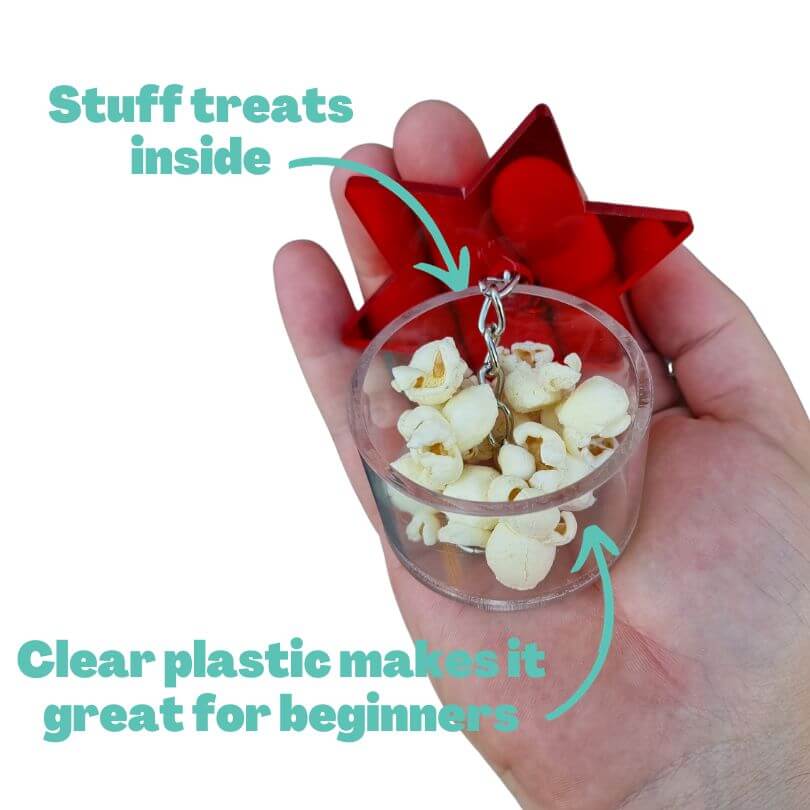 Star Foraging Cup