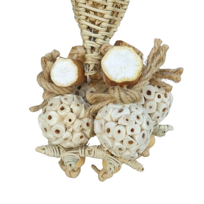 Sunflower and Sola Cluster Chew