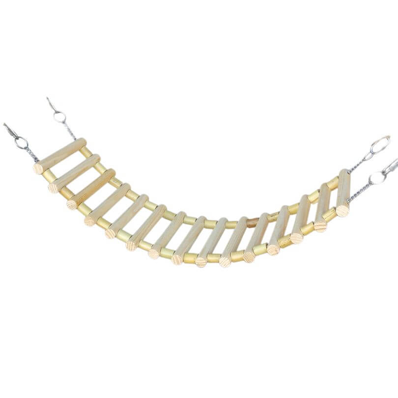 Suspension Ladder