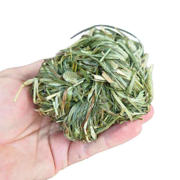 Beak Joy Timothy Hay Chew Ball, chunky twisted natural hay foot toy for parrots