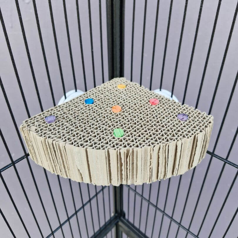 Treat N Seek Corner Cardboard Platform