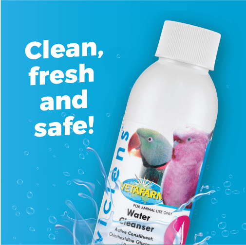 Vetafarm Aviclens 100ml