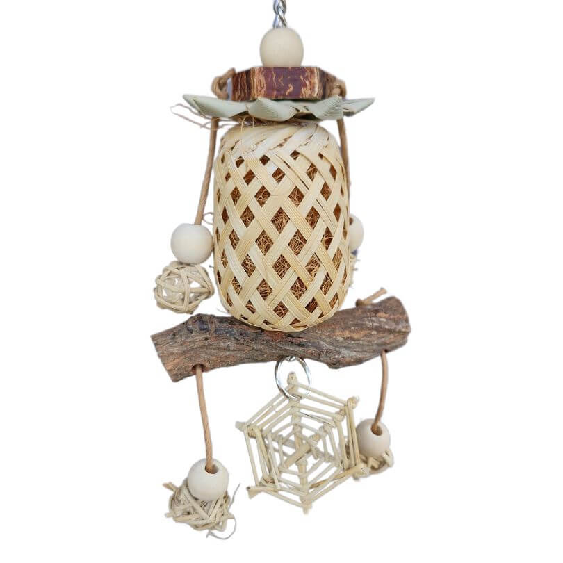 Web and Shell Lantern