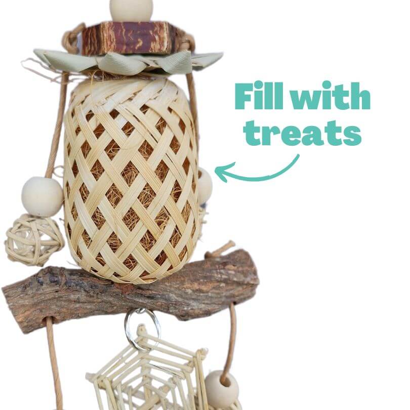 Web and Shell Lantern