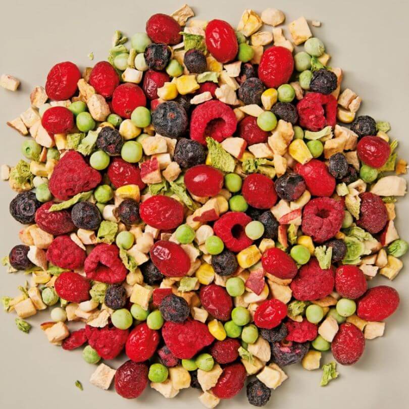Close view of the Whistler freeze dried fruit and vegetable medley