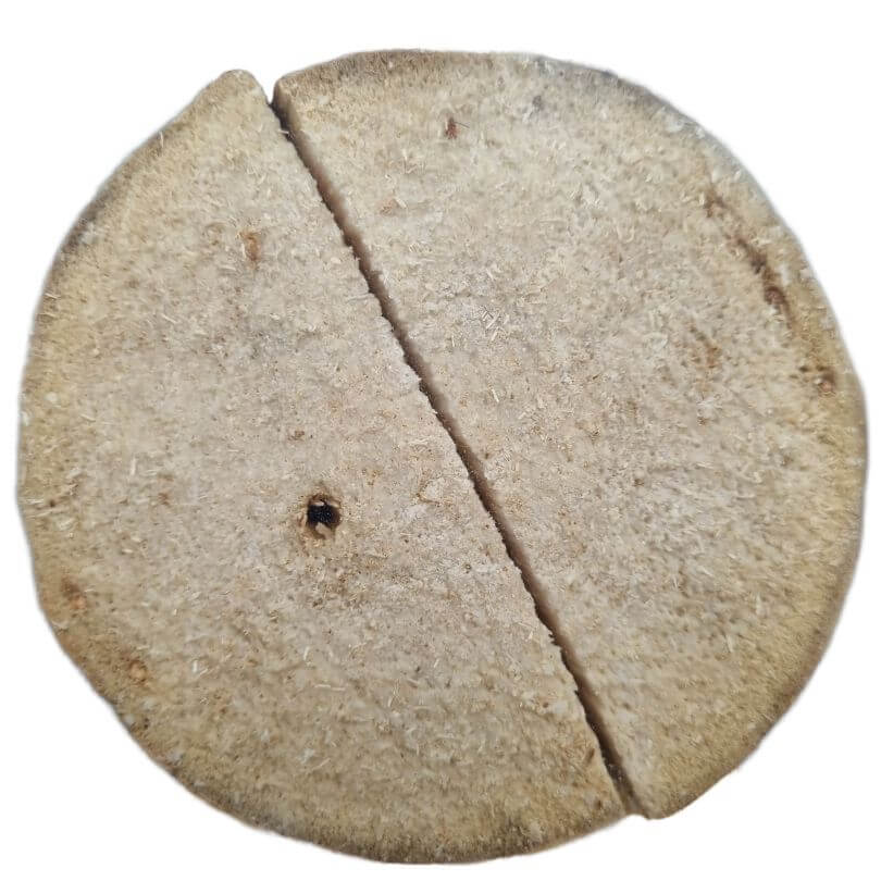 Yucca Parrot Chips