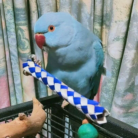 Finger Trap Foot Toy