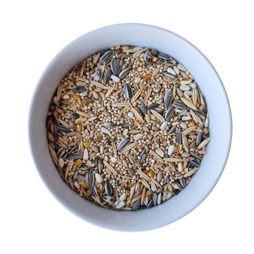 Basic Small Parrot Seed Blend