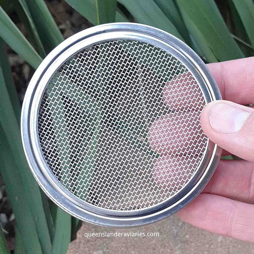 Raw for Birds Sprouting Jar