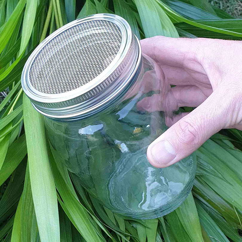 Raw for Birds Sprouting Jar