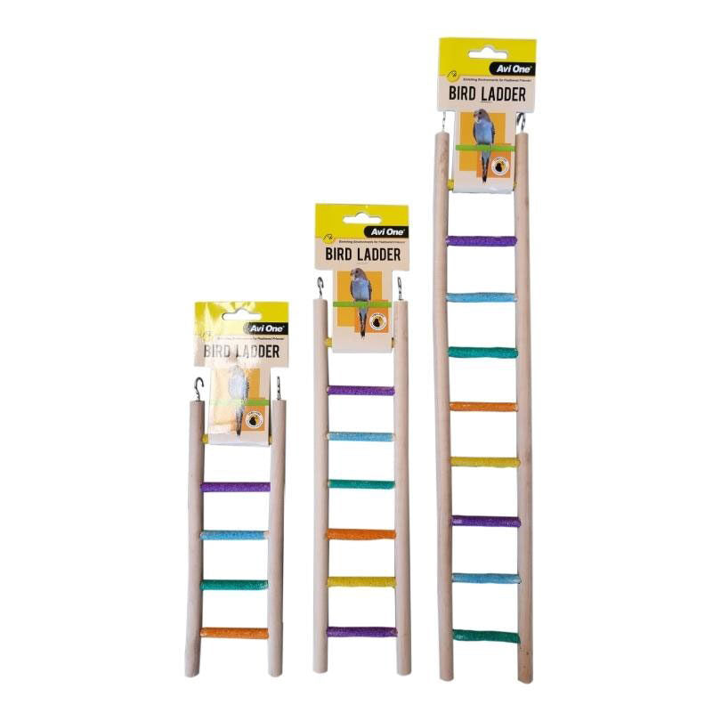 Colourful Grit Ladders