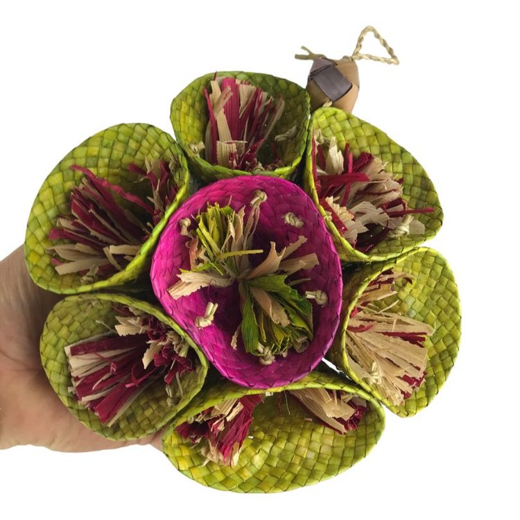 Coral Foraging Flower