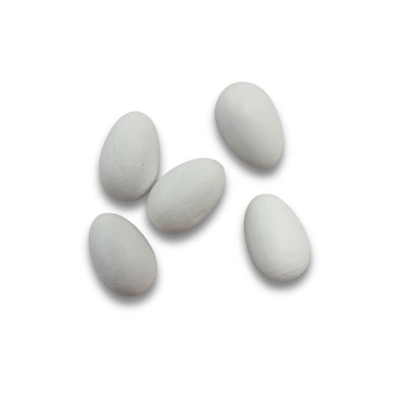 Fake Canary Egg 5pk