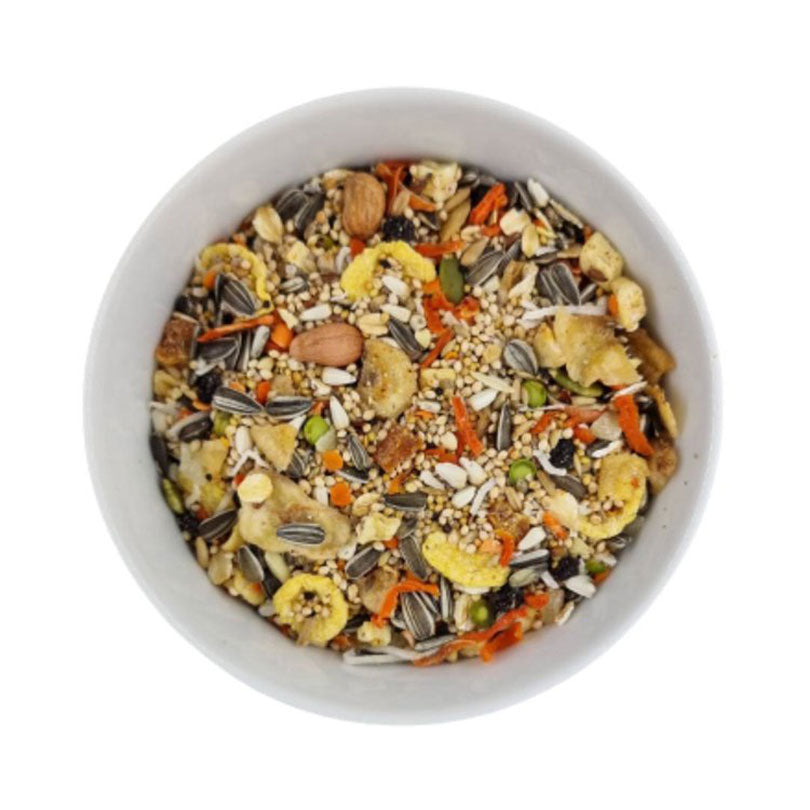 Forage Gourmet Conure/Quaker Blend