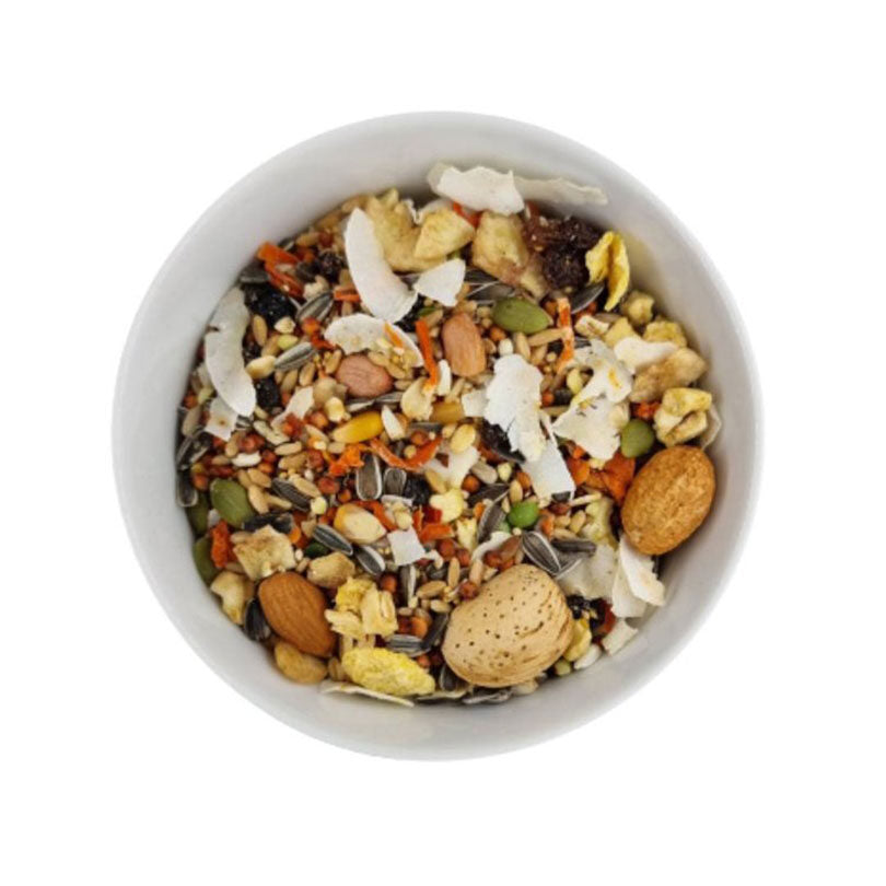 Forage Gourmet Eclectus Blend