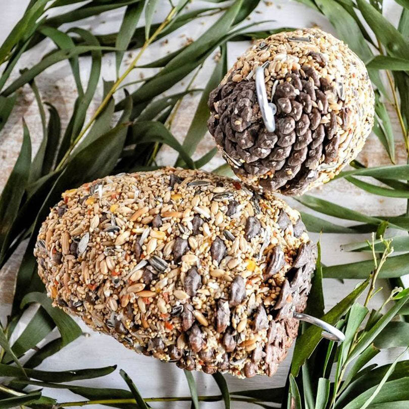 Forage Parrot Pinecone Treats