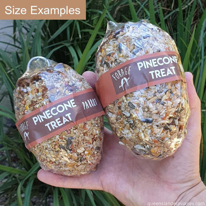 Forage Parrot Pinecone Treats