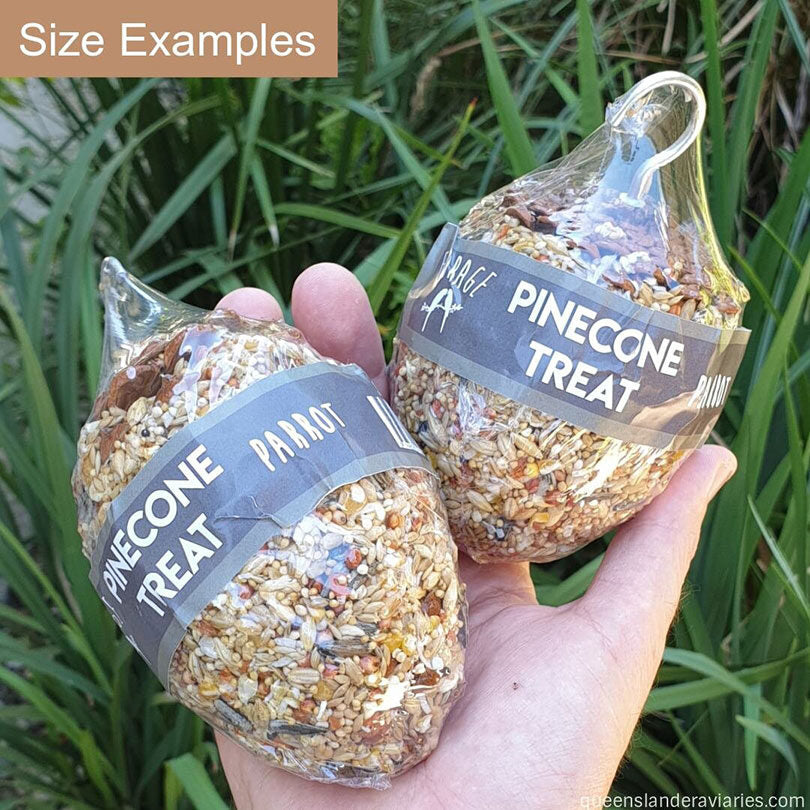 Forage Parrot Pinecone Treats
