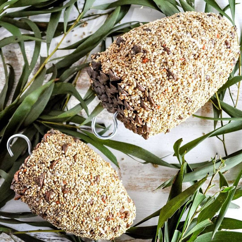 Forage Small Bird Pinecone Treat