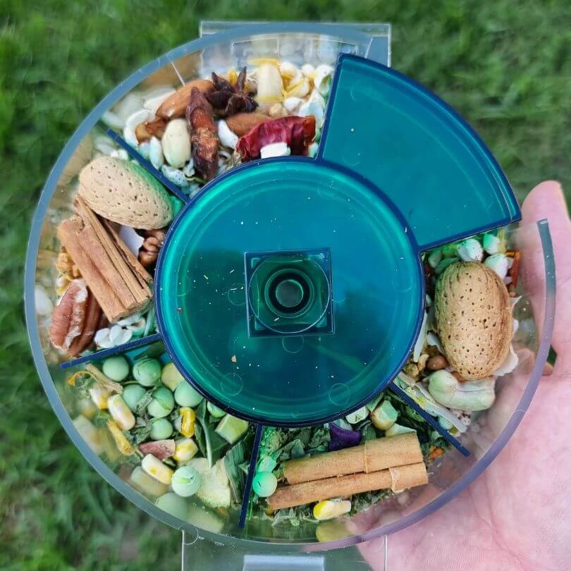Foraging Wheel